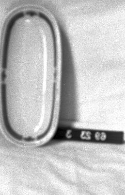 CBMM catalog image